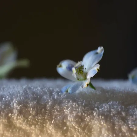 Myconian Naia - Preferred & (adults Only) Hotel Mykonos Town